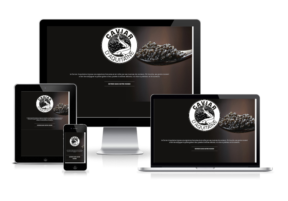 Agencia de diseño web profesional