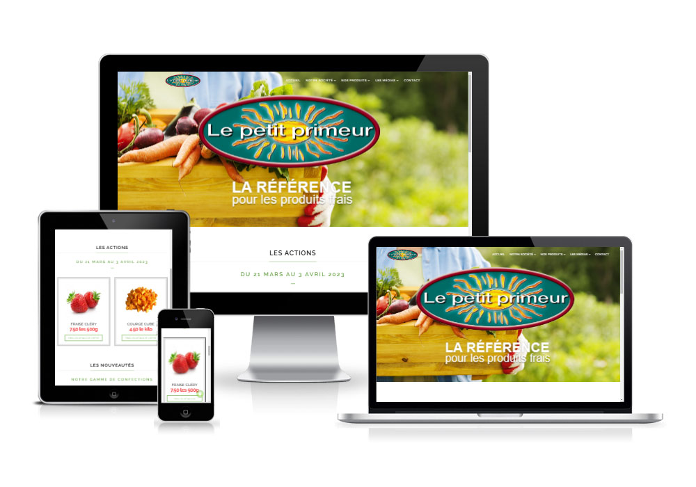 WEBDIGITAL GRANCANARIA agencia de diseño web profesional